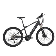 Bürstenloser Motor für Elektrom Mountainbike